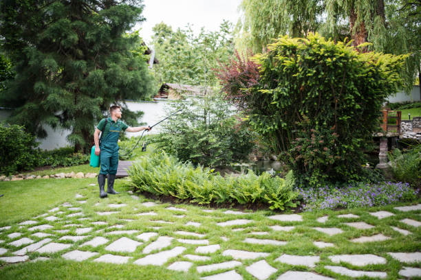 Best Emergency Pest Control  in Canaan, CT
