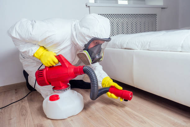 Best Wildlife Control Services  in Canaan, CT