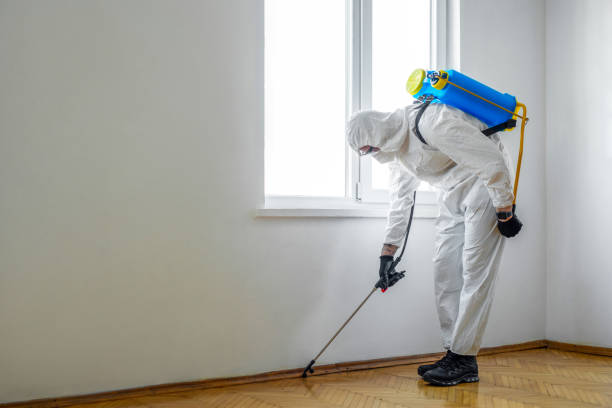 Best Flea Control Services  in Canaan, CT
